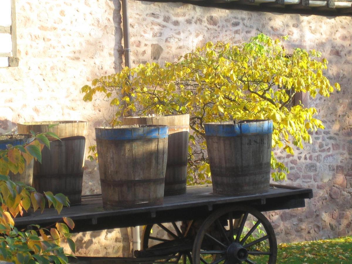 Les Hortensias Sainte-Marie-aux-Mines Εξωτερικό φωτογραφία