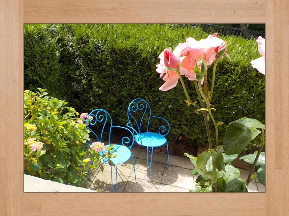 Les Hortensias Sainte-Marie-aux-Mines Εξωτερικό φωτογραφία